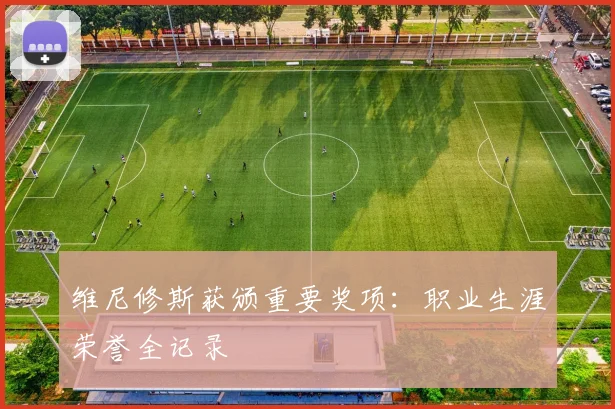 维尼修斯获颁重要奖项：职业生涯荣誉全记录