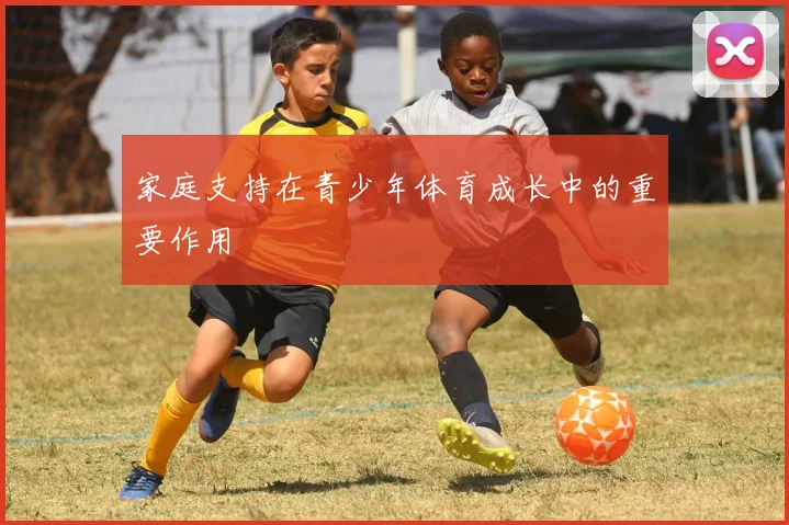 家庭支持在青少年体育成长中的重要作用