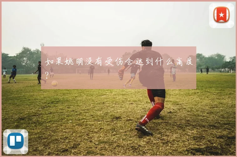 如果姚明没有受伤会达到什么高度?