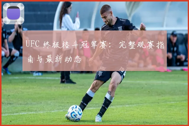 UFC 终极格斗冠军赛：完整观赛指南与最新动态
