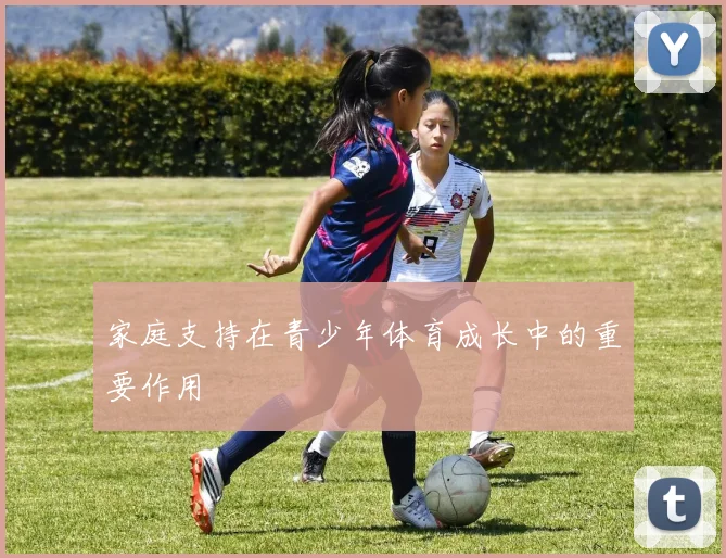 家庭支持在青少年体育成长中的重要作用