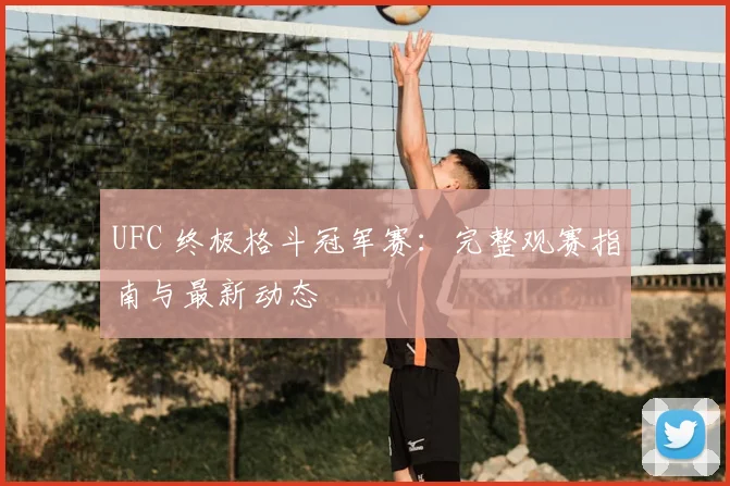 UFC 终极格斗冠军赛：完整观赛指南与最新动态